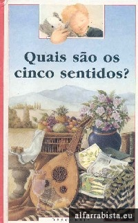 Quais so os cinco sentidos?