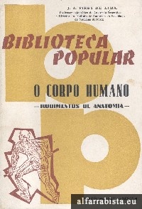 O Corpo Humano