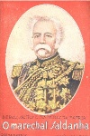 O Marechal Saldanha